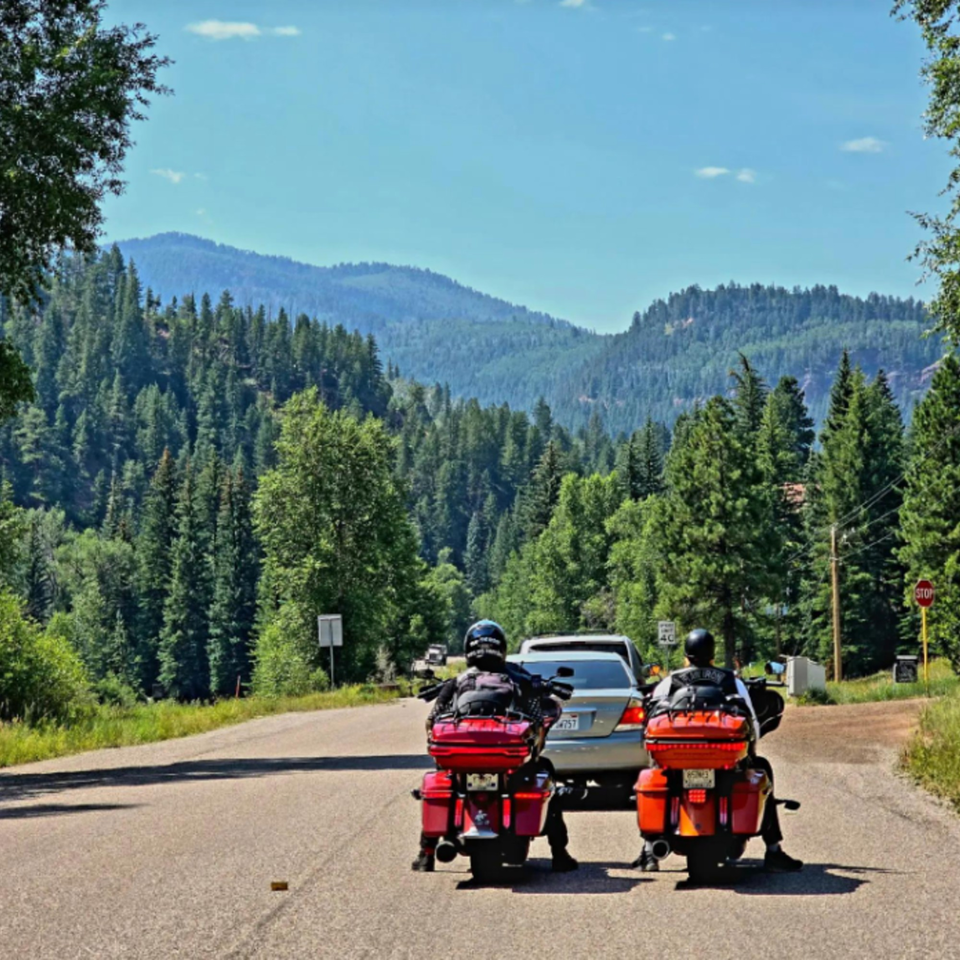 Two motorcyclists on a road, waiting behind a car, with a forest and mountains in the background.