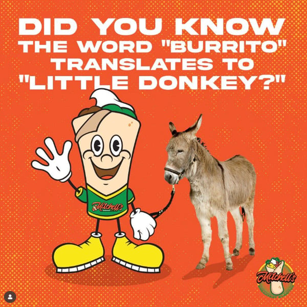 Mitchell's burrito mascot holding a leash attached to a small donkey, with text about the word "burrito".