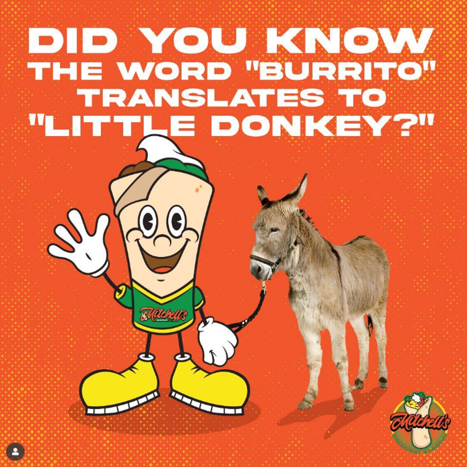 Mitchell's burrito mascot holding a leash attached to a small donkey, with text about the word "burrito".